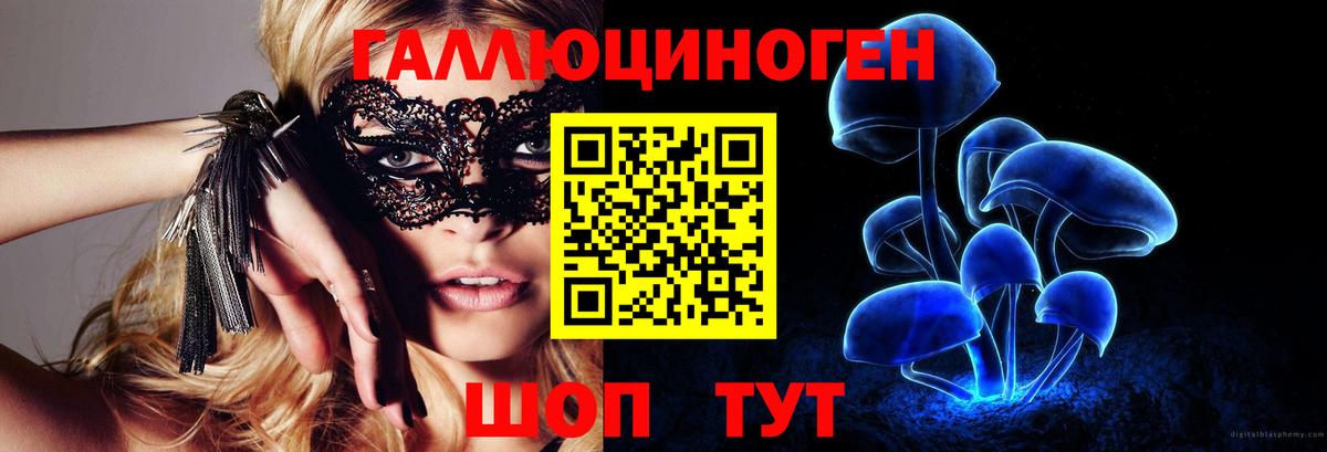 Кострома  Галлюциногенные грибы Psilocybe  Вход с VPN 